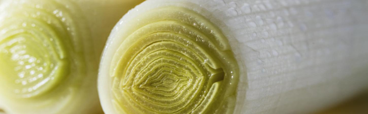 Unustusse vajunud, kuid väga väärtuslik