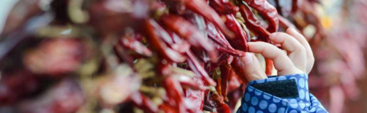 ¿Podemos dar comida picante a los niños pequeños?