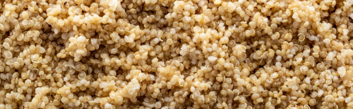 Väikesed, kuid kõvad!