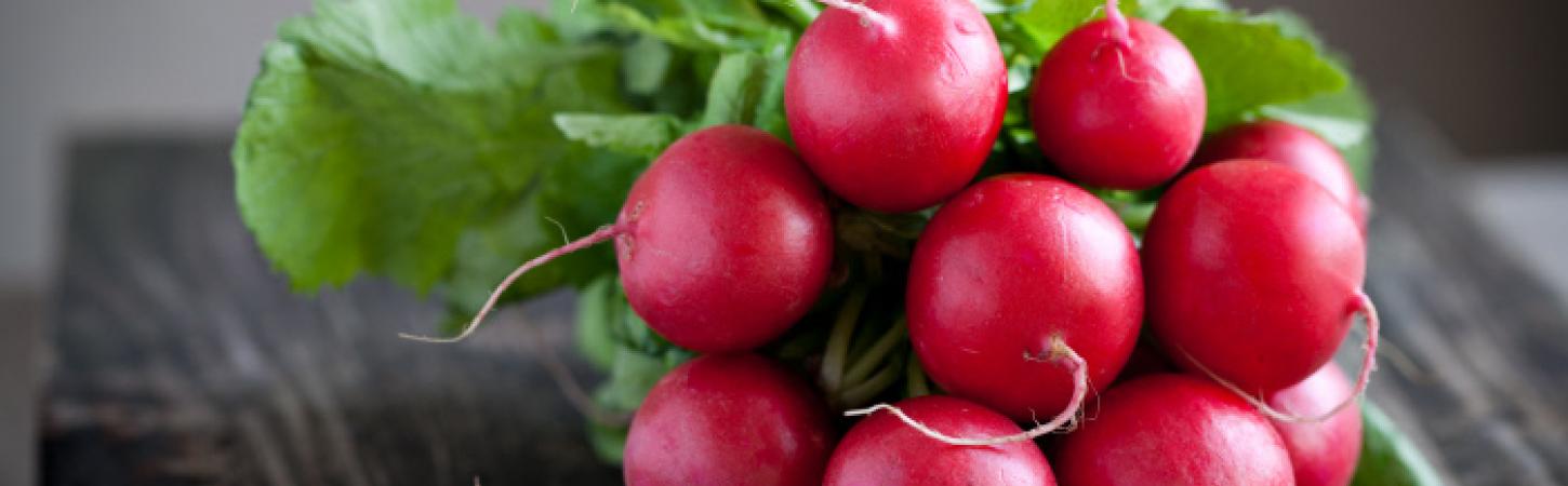 Erinevad rõikad, redised