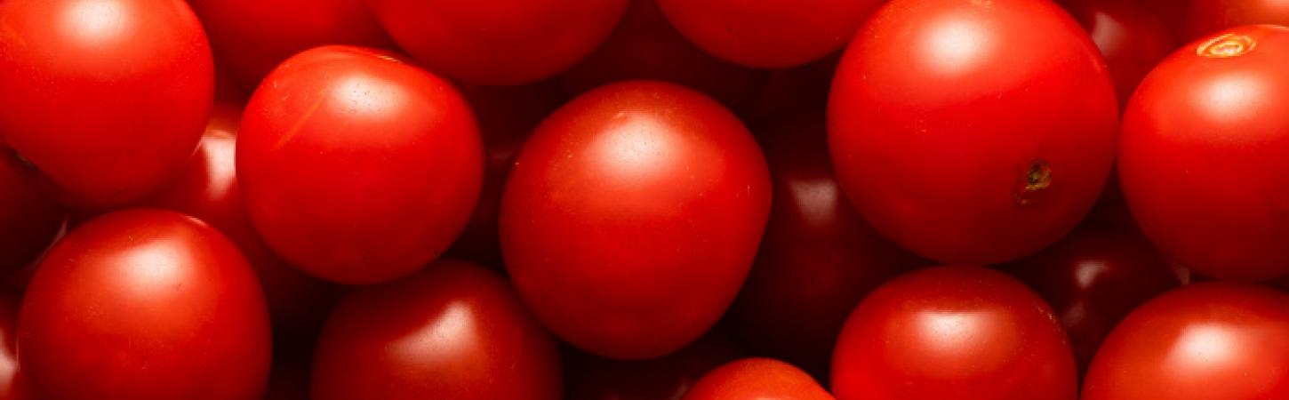 Igapäevaselt söödav köögivili