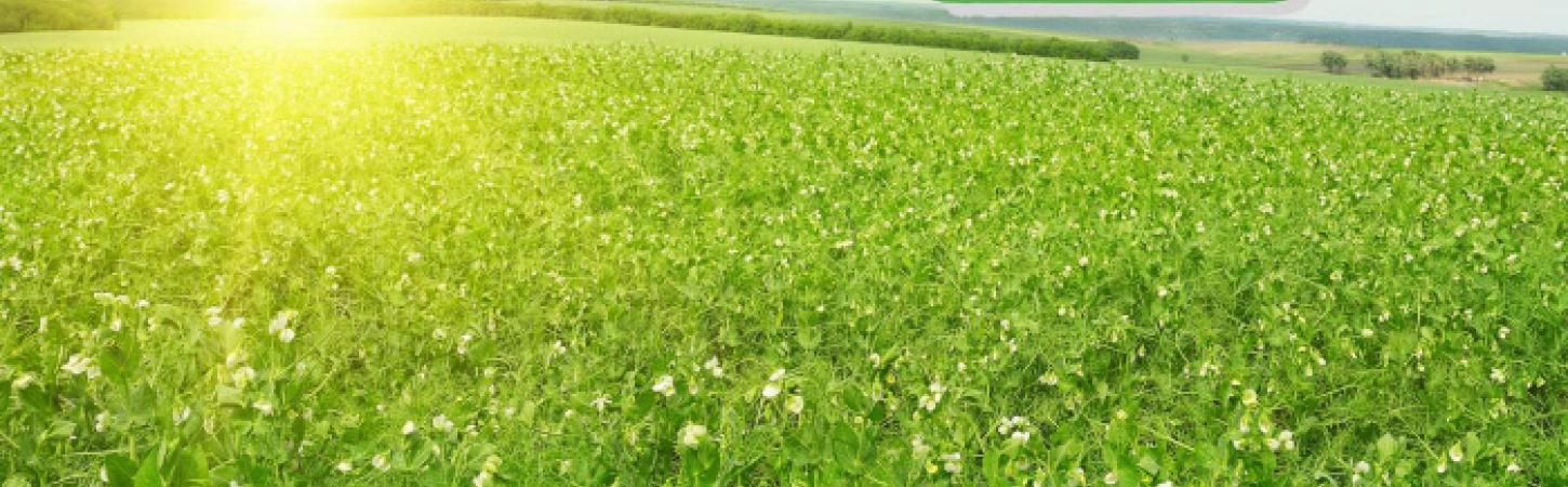 Ochrana Biodiverzity a pôdy